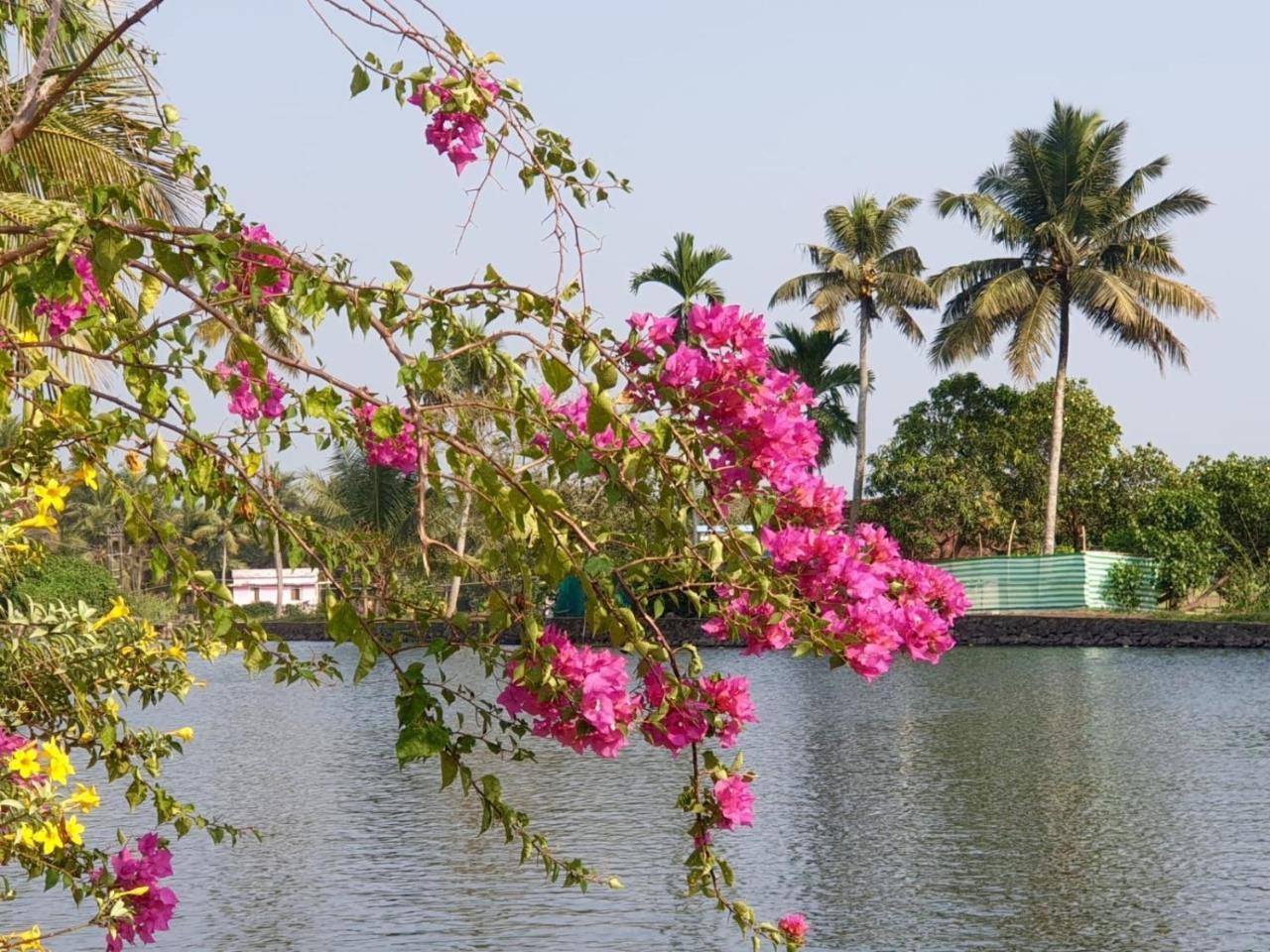 The Lake Paradise Boutique Resort Alappuzha Exterior photo